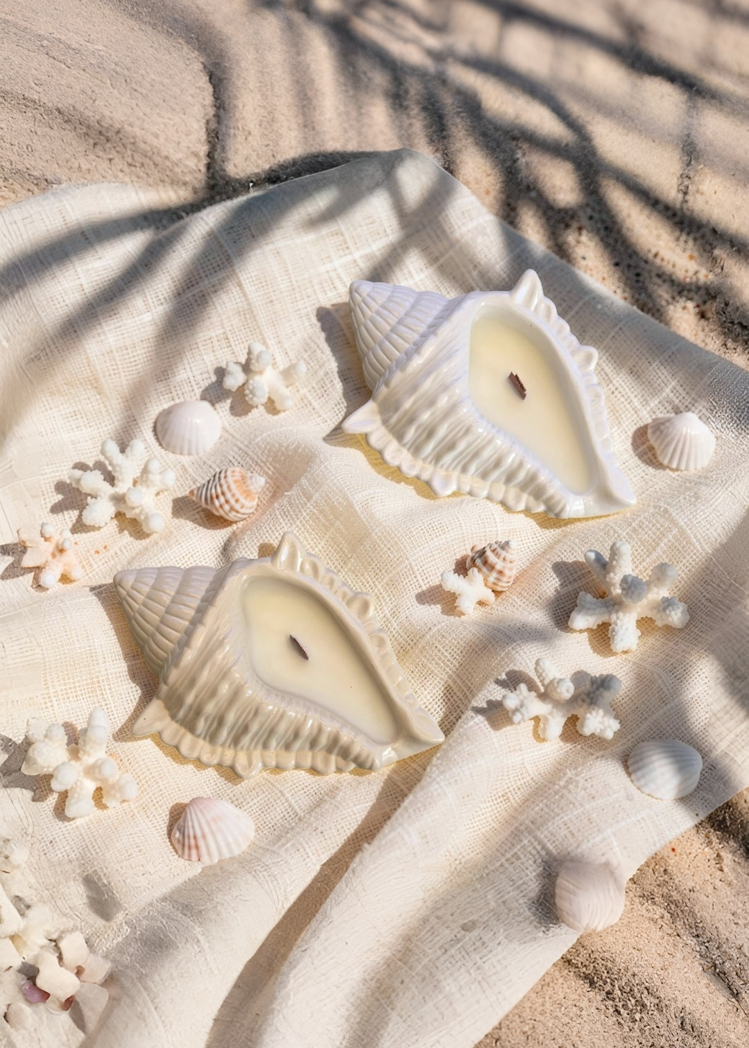 Ocean Shell