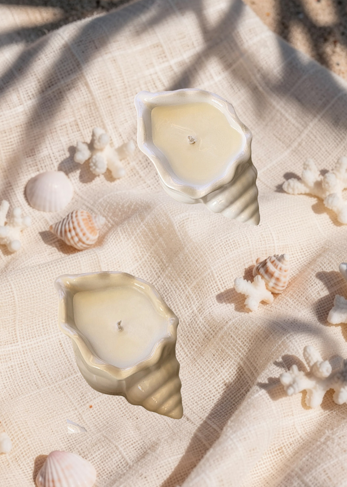 Seashell