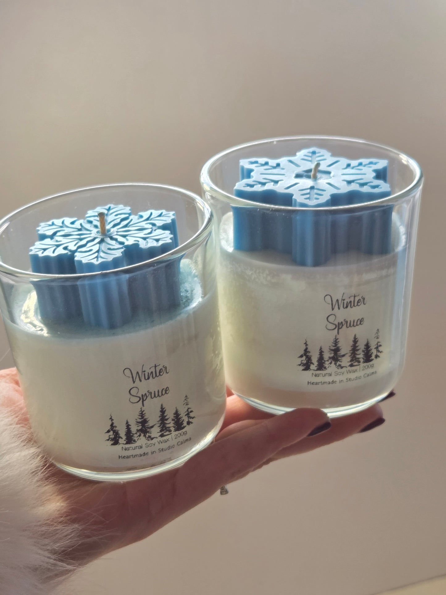 Winter Spruce Jar Candle 200g