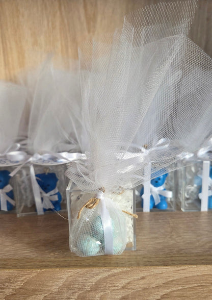 Mini Teddy Bear - Plexiglas Box