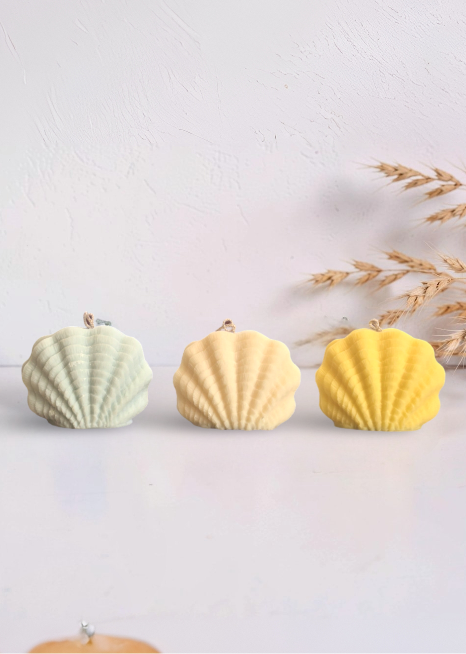 Mermaid Shell